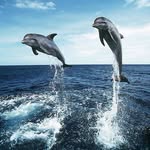 Celine Andrade - @celineandrade34 - Instagram