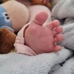 Celine Arnold-Ostertag - @celinearnoldostertag - Instagram