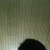 Ugh - @celinebauer07 - TikTok