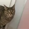 Celine Beck - @celine_88770 - TikTok