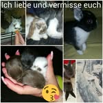 Celine Beckert - @celine.beckert - Instagram