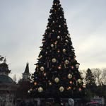 Celine Becker - @celinebecker7671 - Instagram