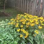 Celine Belanger - Facebook