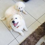 Celine_Cooper - @pinto_shyda - Instagram