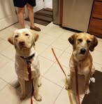 Celine Huggins - Facebook