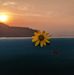 Celine Kong - Facebook