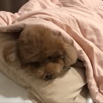 Celine Kong - @celinekonggg - Instagram