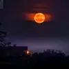 Celine Singh - @celine.singh - TikTok