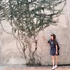 Celine Wu - @celinewu36 - TikTok