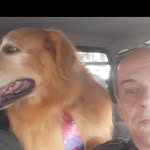Celso Coelho - @celso.coelho.100 - Instagram