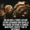 Celso Cruz - @celso.cruz44 - TikTok