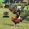 Celso Escobar - @celso.escobar22 - TikTok