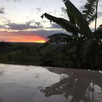 Celso Moreira - @celso.moreira.9066 - Instagram