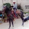 celsomurillo8 - @celsomurillo8 - TikTok