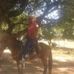 Celso Souza - Facebook