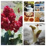 Cemal Bayram - @cmlbyrmg - Instagram