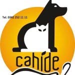 Cengiz Bayram - @cahide_vakfi - Instagram