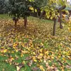 cengiz - @cengizbayram494 - TikTok