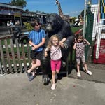 Ceri Rees - @cclrees - Instagram