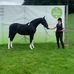 Ceri Rees-Coe - Facebook