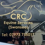 Ceri Rees-Coe - @cericrcequine - Instagram