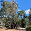 César Adame - @cesar16880 - TikTok