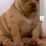 Cesar Alex - Facebook