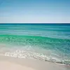 cesaralex - @cesaralex537 - TikTok