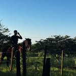 Cesar Aquino - @ocesaraquino - Instagram