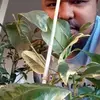 Cesar Aquino - @cesar.aquino415 - TikTok