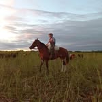 Cesar Arguello - @cesar_arguello802 - Instagram