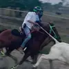 cesar_arias9 - @cesararias5962 - TikTok