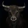 Cesar Arias - @cesar.arias729 - TikTok