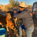 Cesar Arteaga - @cesar_arteaga027 - Instagram