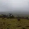 Cesar Ballesteros - @user908847886 - TikTok