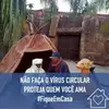 César Baptista - @cesarbaptista02 - TikTok