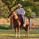Cesar Barbosa - @cesarbarbosa0 - Instagram