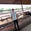 cesarborunda1654 - @cesarborunda1654 - TikTok