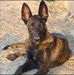 Cesar Bustamante - Facebook