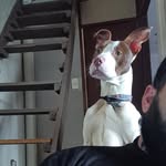 cesar bustamante - @cesarbustamante830 - Instagram