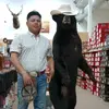 cesarcamachoo599 - @cesarcamachoo599 - TikTok