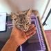 Cesar Carballo - Facebook