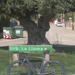 Cesar Cebrián - @cesar.cebrian.16 - Instagram