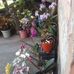 César Celis - Facebook