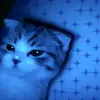 Cesar Duran - @cesar.duran27 - TikTok