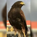 César Escareño - @cesar.escareno.71 - Instagram