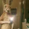 Cesar Esteban - @cesar.esteban01 - TikTok