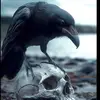 Cesar Galvan - @cesar.galvan09 - TikTok