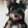 Cesar Garza - @cesar.garza93 - TikTok