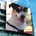 Cesar Gordon - Facebook